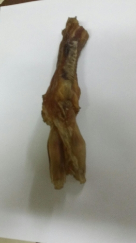 20181126_133737.jpeg