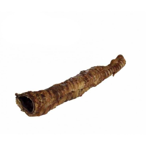 Tchawica wołowa