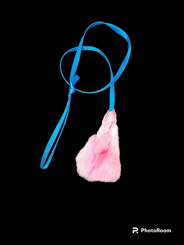 PhotoRoom-20231025_202416.png
