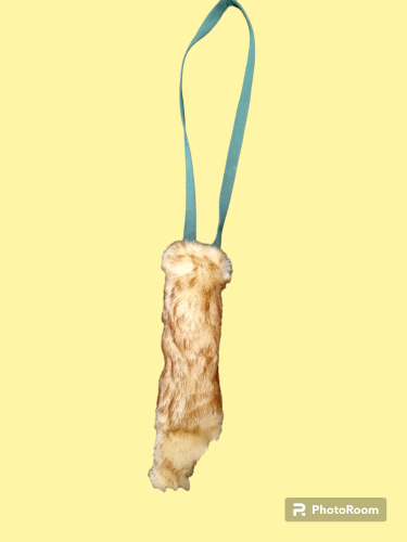 PhotoRoom-20231026_094442.png