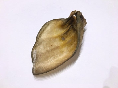 20170427_155027385_iOS_5.jpg
