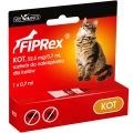 kot-min.webp