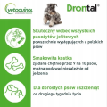 obraz_2024-10-17_132707219.png