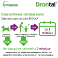 obraz_2024-10-17_132807150.png