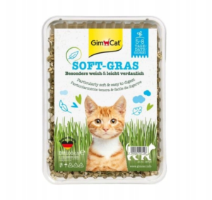 GimCat Soft Gras Miękka Trawa dla Kota w Pojemniku 100g
