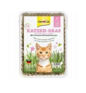 Gimcat Katzengras trawa dla kotów w pojemniku 150g