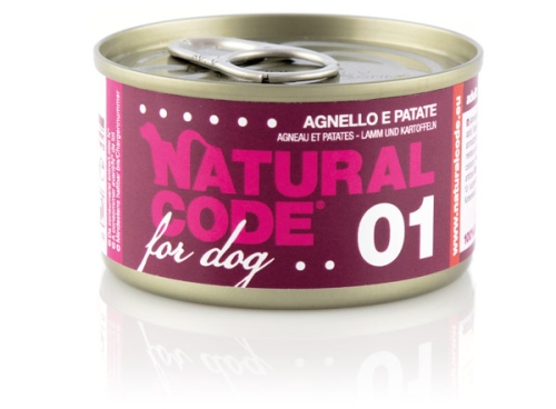 adult-dog-90_01.jpg
