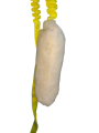 1000077318.png