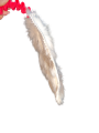 1000077336.png