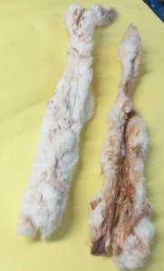 Skóra królika z futrem długa 2kg